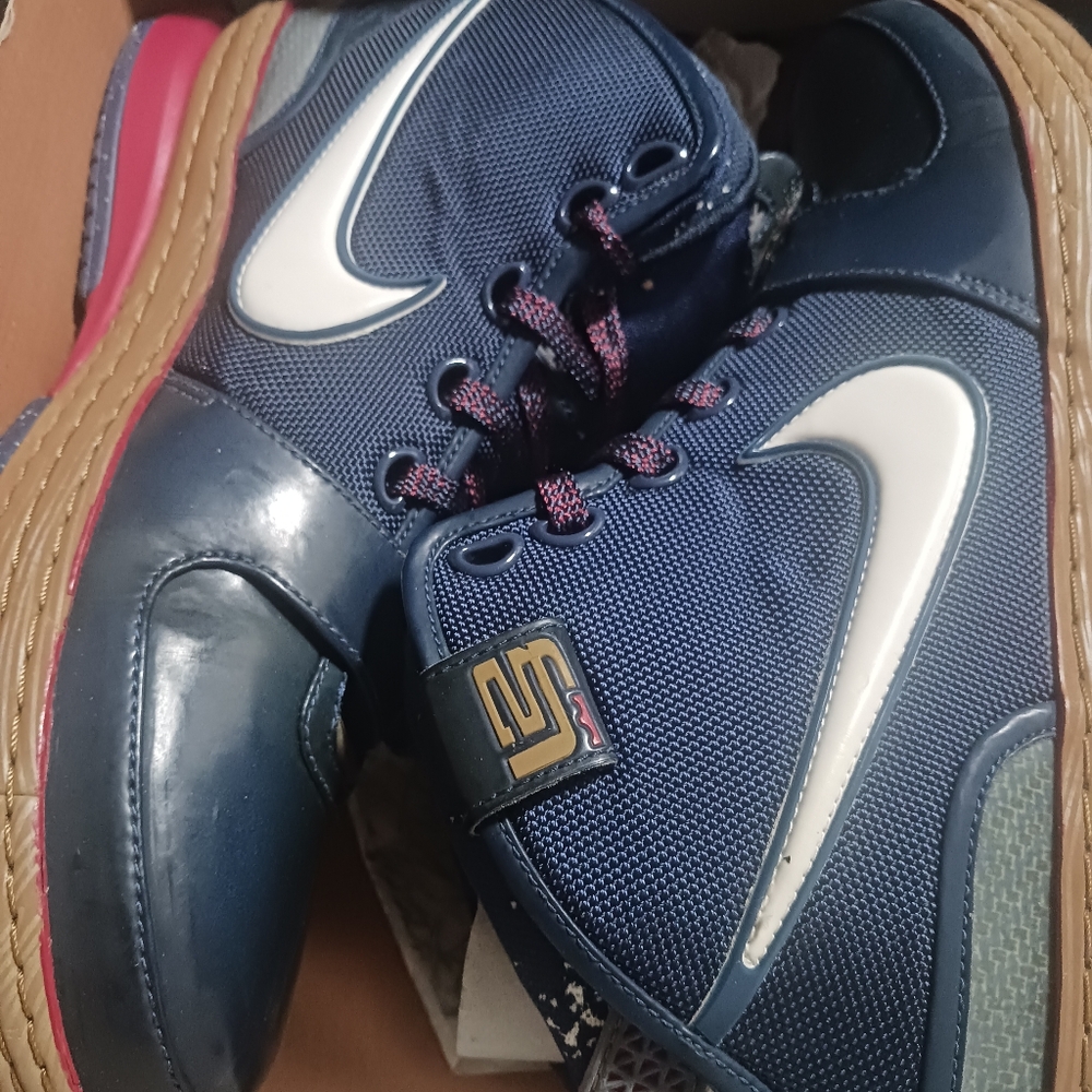 Lebron Zoom V1 boots